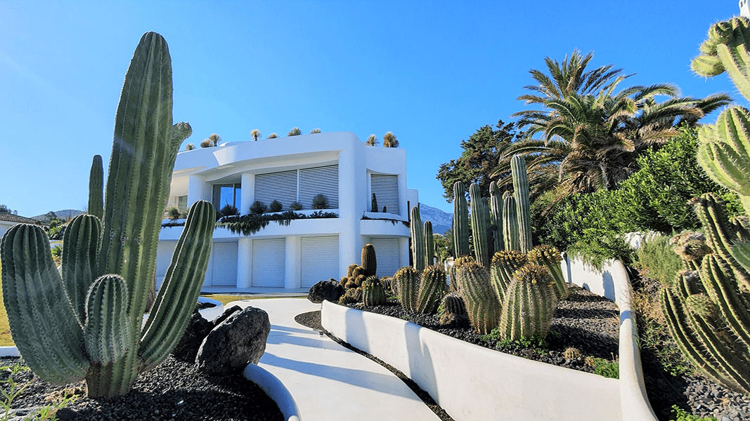 white house and path with cactus garden